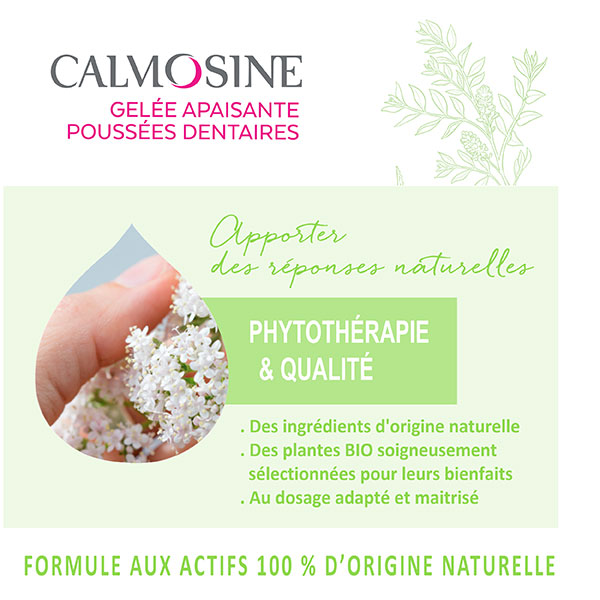 Calmosine Gelée Apaisante Poussée Dentaire 15ml | Prix bas