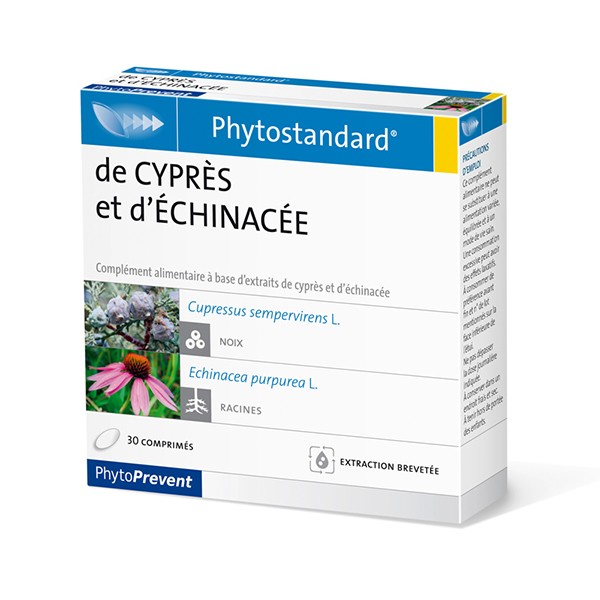 Cypres echinacee